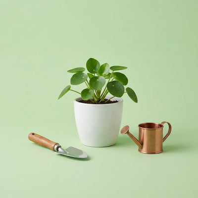 Gardening